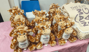 Photo of MAIN's soft toy giraffe
